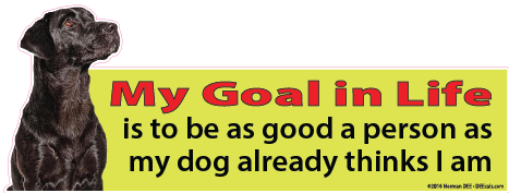 A DEEcal with a dog that reads 'My Goal in Life is to be as good a person as my dog already thinks I am.'